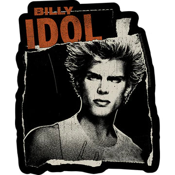 Billy Idol Sticker