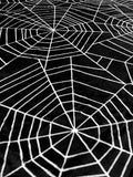 Full Size Spider Web Blanket