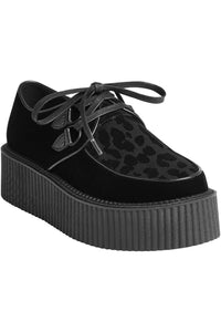 Feral Black Leopard Creepers
