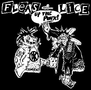 Fleas & Lice Patch - DeadRockers
