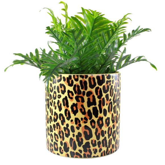 Leopard Plant Holder