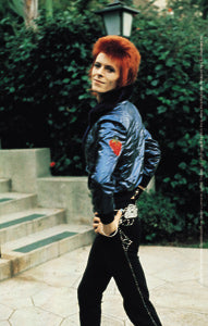 David Bowie Pose Sticker