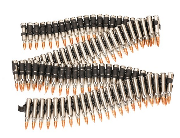 Silver with Copper Tips 223 Bullet Belt
